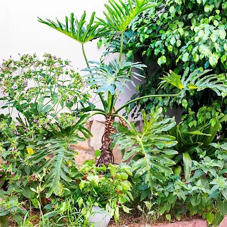 Appartement Da Mari Casa Cagliari